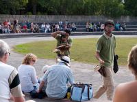 P1234759.jpg - 2009:01:23 14:09:27