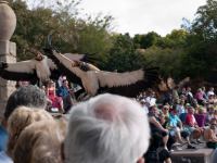 P1234784.jpg - 2009:01:23 14:14:07