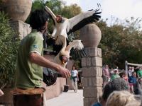 P1234785.jpg - 2009:01:23 14:14:07