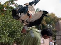 P1234786.jpg - 2009:01:23 14:14:08