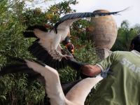 P1234787.jpg - 2009:01:23 14:14:08