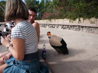 P1234791.jpg - 2009:01:23 14:14:22