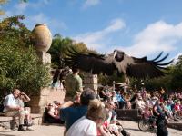 P1234836.jpg - 2009:01:23 14:23:58