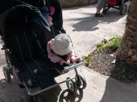 P1234847.jpg - 2009:01:23 14:44:01