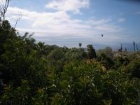 P1234858.jpg - 2009:01:23 14:45:54