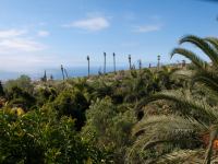 P1234860.jpg - 2009:01:23 14:46:00