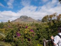 P1234862.jpg - 2009:01:23 14:46:09