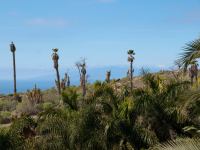 P1234866.jpg - 2009:01:23 14:46:40