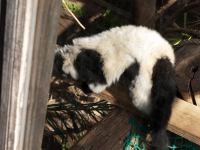 P1234869.jpg - 2009:01:23 14:50:53