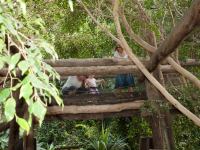 P1234874.jpg - 2009:01:23 15:22:21