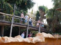 P1234882.jpg - 2009:01:23 15:23:12