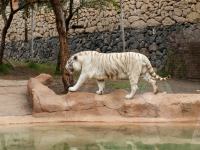 P1234905.jpg - 2009:01:23 17:00:01