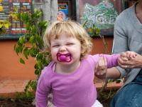 P1234918.jpg - 2009:01:23 17:14:08