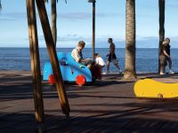 P1244931.jpg - 2009:01:24 12:24:07