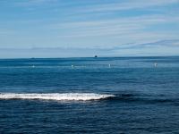 P1255019.jpg - 2009:01:25 13:04:08