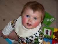 P5075659.jpg - 2009:05:07 17:21:44