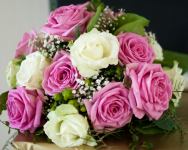 IMG_5094.jpg - 2009:08:15 16:25:04