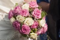 IMG_5075.jpg - 2009:08:15 15:28:12