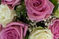 IMG_5088.jpg - 2009:08:15 16:24:39