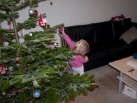 Pynt-13.jpg - 2009:12:19 14:53:44