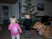 Pynt-14.jpg - 2009:12:19 14:58:39