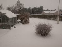 Pynt-3.jpg - 2009:12:19 14:28:30