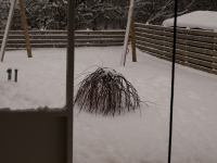 Pynt-4.jpg - 2009:12:19 14:28:36