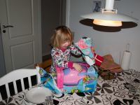 PC217763.jpg - 2009:12:21 08:18:17