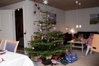 IMG_6963.jpg - 2009:12:24 17:38:19