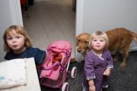 IMG_6994.jpg - 2009:12:24 18:15:43