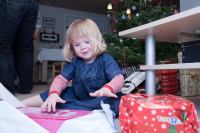 IMG_7118.jpg - 2009:12:24 22:03:25