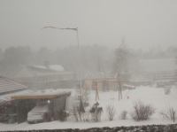 P1308120.jpg - 2010:01:30 11:48:48