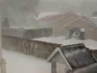 P1308097.jpg - 2010:01:30 11:48:10