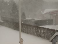 P1308099.jpg - 2010:01:30 11:48:16