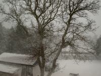 P1308125.jpg - 2010:01:30 11:49:47