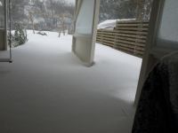 P1308139.jpg - 2010:01:30 12:55:05