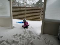 P1308143.jpg - 2010:01:30 13:44:36