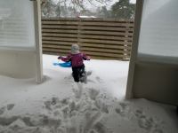 P1308146.jpg - 2010:01:30 13:44:37