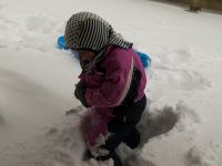 P1308147.jpg - 2010:01:30 13:44:41