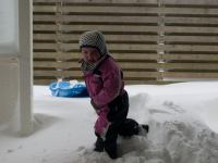 P1308156.jpg - 2010:01:30 13:44:52