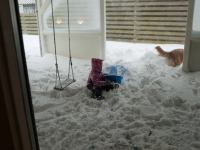 P1308188.jpg - 2010:01:30 13:49:31