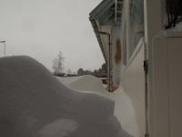 P1308202.jpg - 2010:01:30 13:50:39