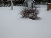 P1308214.jpg - 2010:01:30 13:51:17