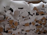 P1308226.jpg - 2010:01:30 16:41:55