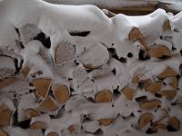 P1308227.jpg - 2010:01:30 16:41:55