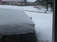 P1308236.jpg - 2010:01:30 16:42:49