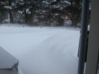 P1308242.jpg - 2010:01:30 16:43:21