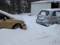 P1308262.jpg - 2010:01:30 16:44:10