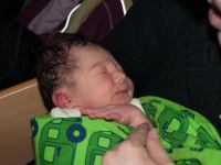 P3018543-2.jpg - 2010:03:01 16:19:51