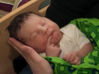 P3018548-5.jpg - 2010:03:01 16:23:56